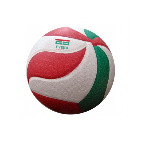 Volley ball